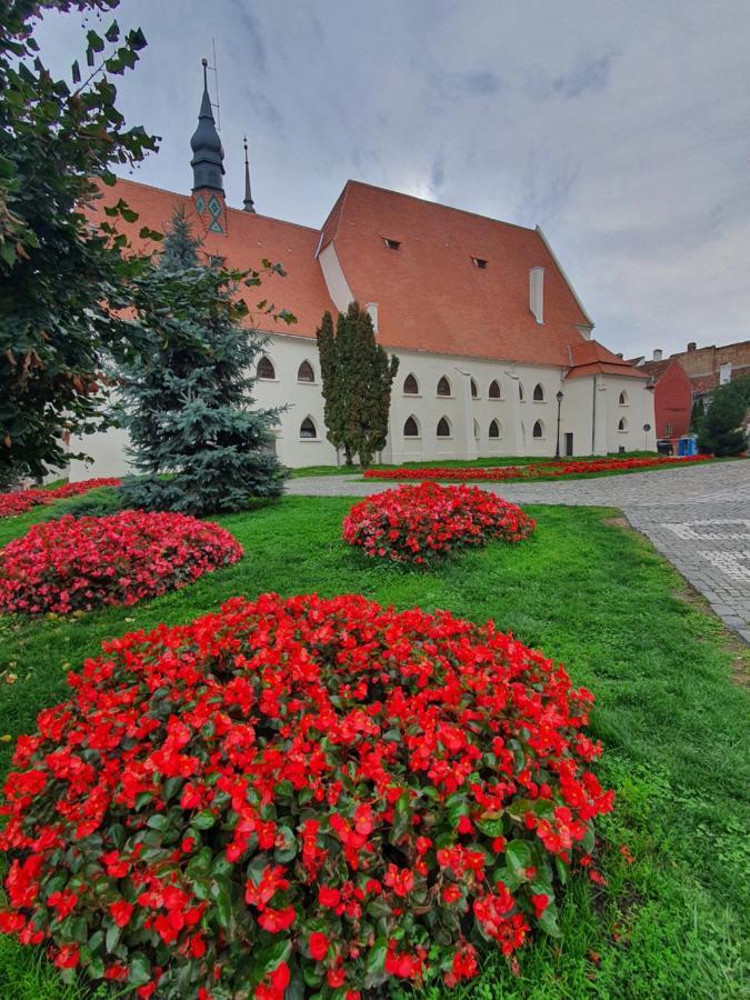 Via Transilvanica Sighisoara Hotel Exterior foto